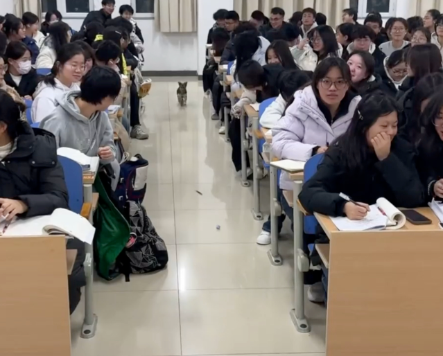 了解与关心学生将管理育人服务育人落到实处服务于学生的全面